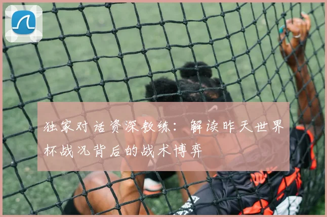独家对话资深教练：解读昨天世界杯战况背后的战术博弈