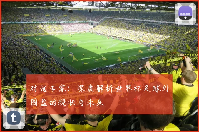 对话专家：深度解析世界杯足球外围盘的现状与未来